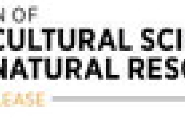 Hughes County students awarded OSU scholarships