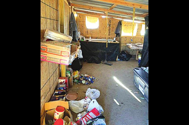 OBN Agents Bust Illegal