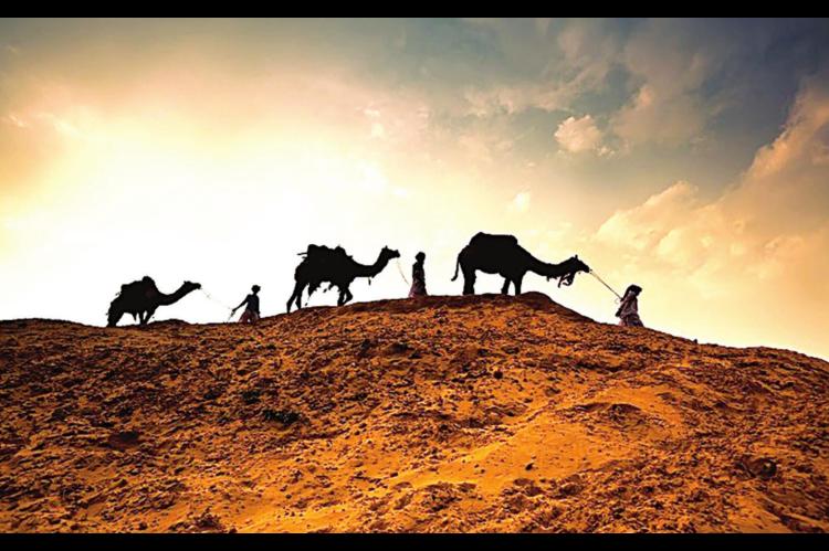 Walking in the Wisdom of the Wise Men