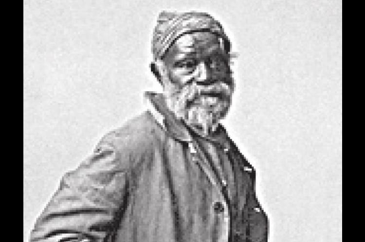 Freedman History