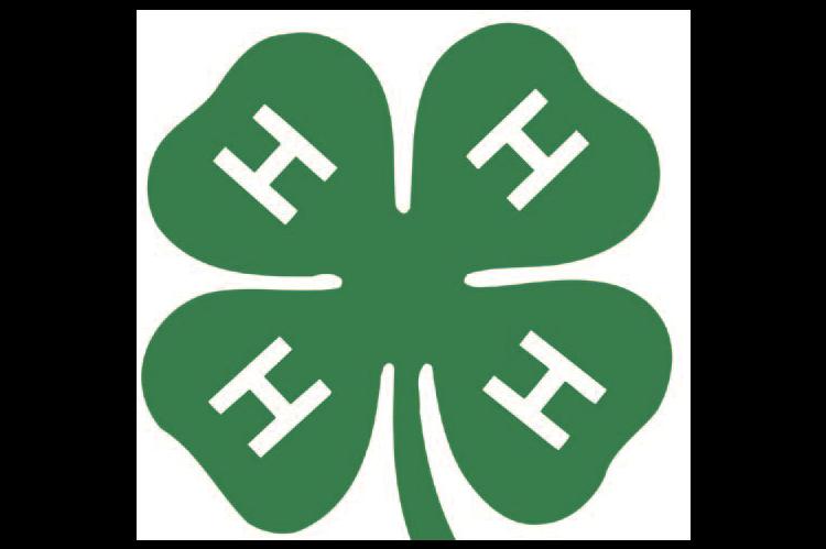 4H SHARE THE FUN 