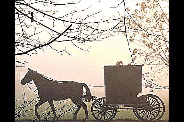 The Amish Cook: Gloria Yoder Talks School Start and Serves Up Delicious Der Dutchman Marinated Carrots