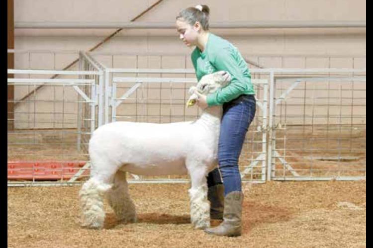 Wetumka local livestock show