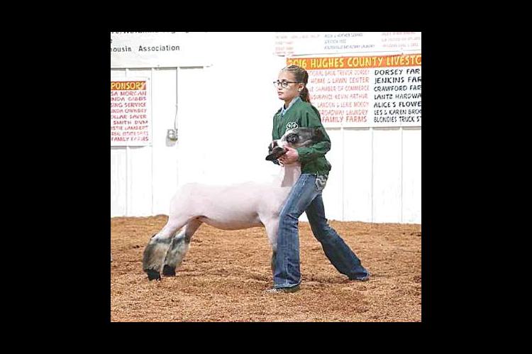 Moss local livestock show highlights