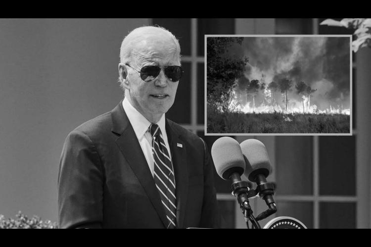 News” from the lighter side ~ Babylon Bee satires