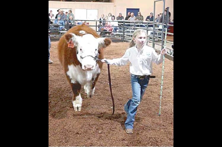 Moss local livestock show winners