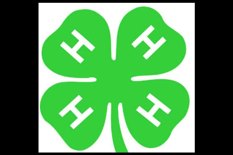 4H SHARE THE FUN 