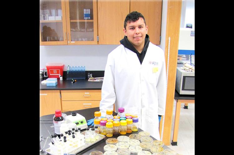 Dustin Biomed student, LeBryant Pigeon, studies Bee propolis for capstone project