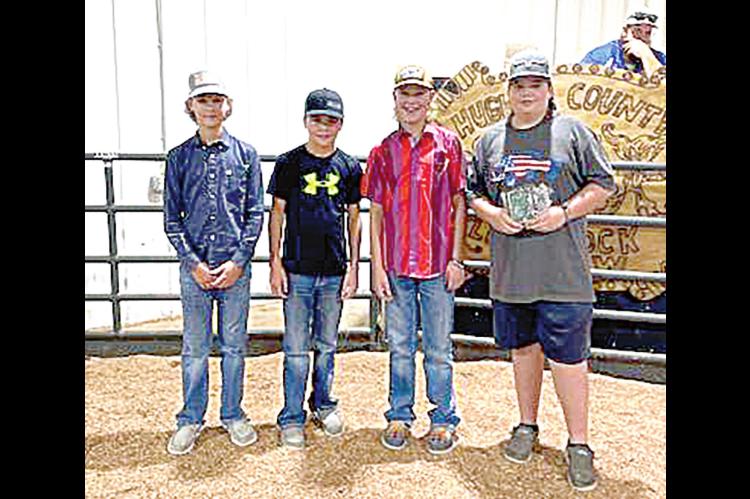County Fair Livestock Judging Winners