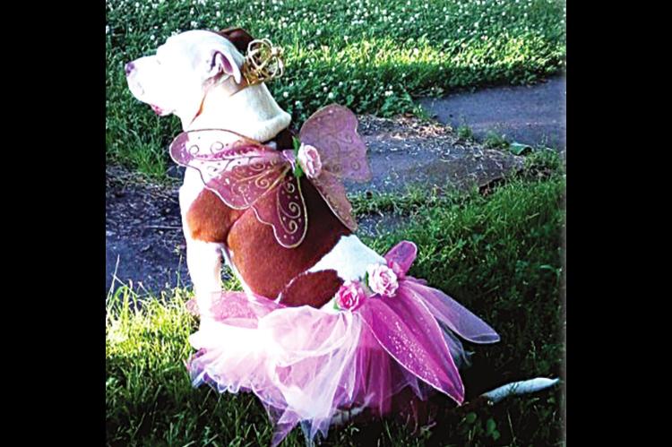 Easter Photo entries