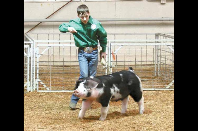 Wetumka local livestock show