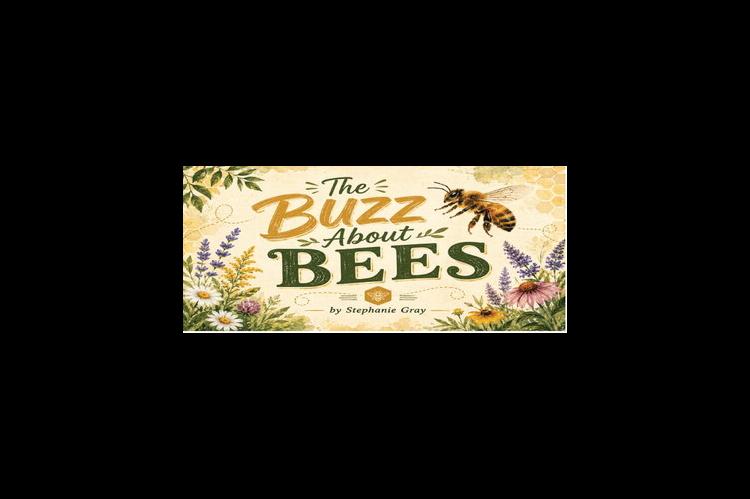 The buzz about bees