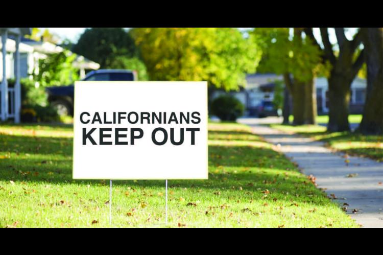 	Babylon Bee satires 