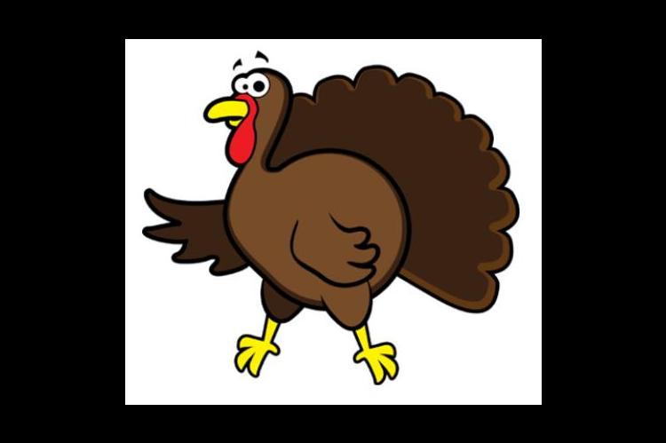 How to cook a turkey