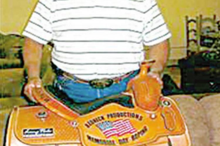 Article Image Alt Text