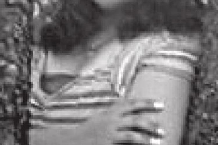 Felicia Louise Watson