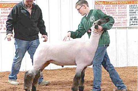 Moss local livestock show winners