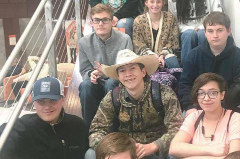 News from the Moss Community