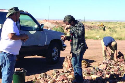 Ada Gem and Mineral Fossil Club News