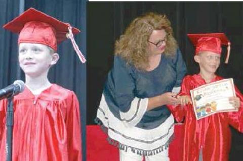 Article Image Alt Text