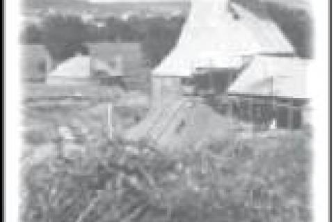 Article Image Alt Text