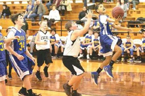 Article Image Alt Text