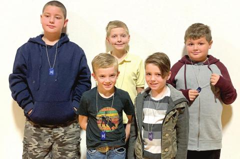 News from the Moss community