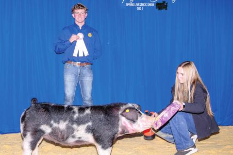 Hughes County Livestock Show