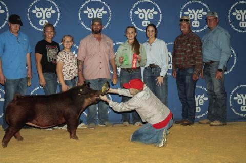 GINELLE HUFF WINS BREED CHAMPION YORK GILT AND MAKES NIGHT OF STARS GILT SALE AY OYE 2024.
