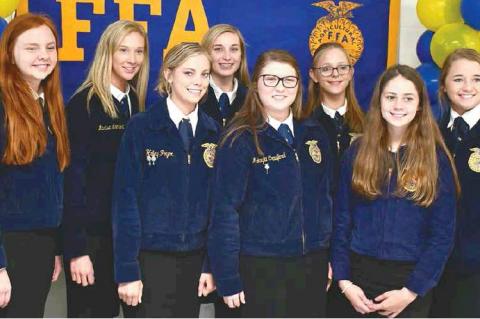 Article Image Alt Text