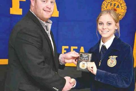 Article Image Alt Text