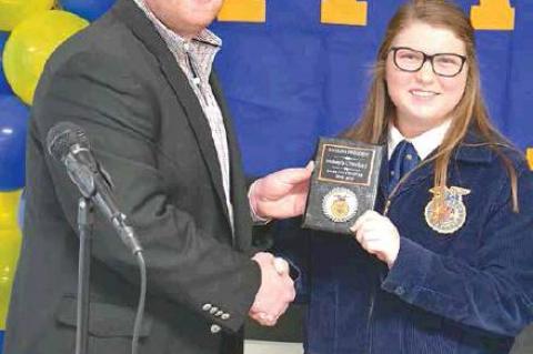 Article Image Alt Text