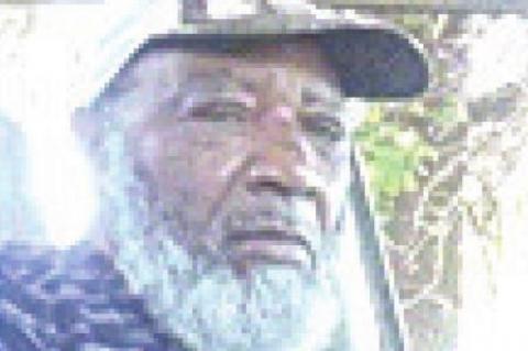 Article Image Alt Text