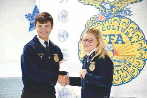 Article Image Alt Text