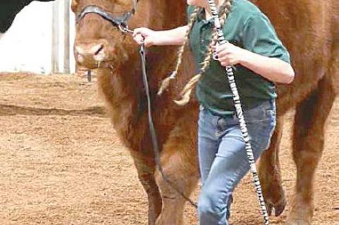 Moss local livestock show highlights