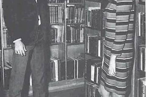 Article Image Alt Text