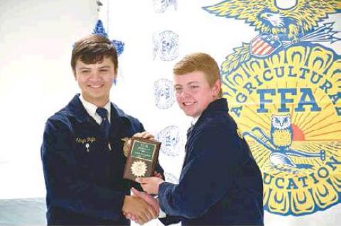 Article Image Alt Text