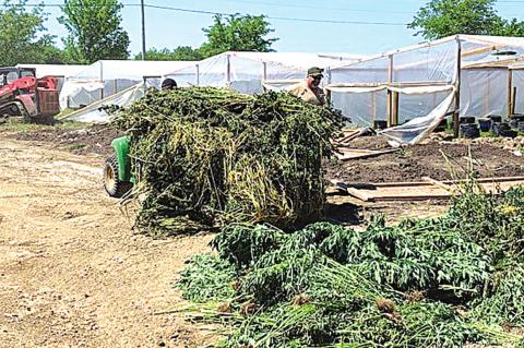 OBN Agents Bust Illegal