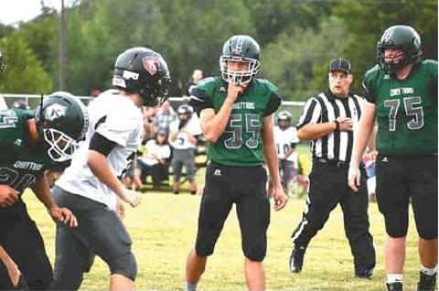 Article Image Alt Text