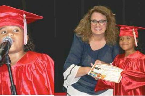 Article Image Alt Text