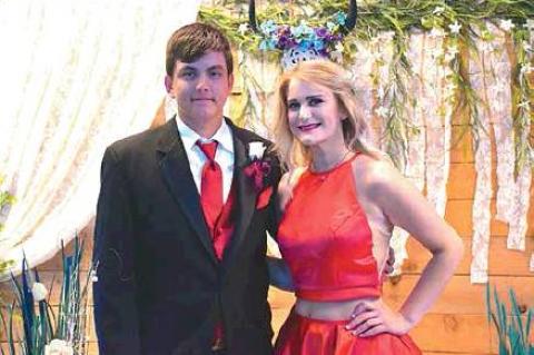 Article Image Alt Text