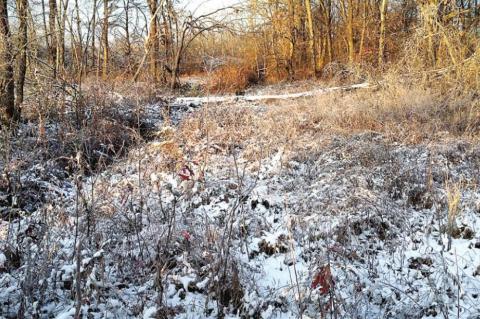 Winter arrives in Vernon!