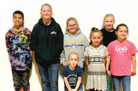 News from the Moss community