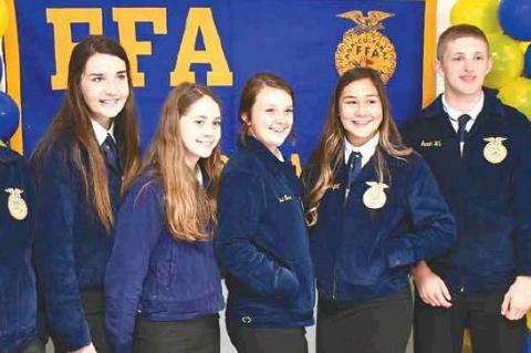 Article Image Alt Text