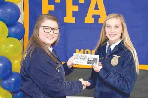 Article Image Alt Text