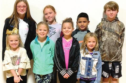 News from the Moss community