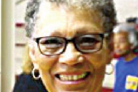 Town of Clearview Elections and Town Meeting