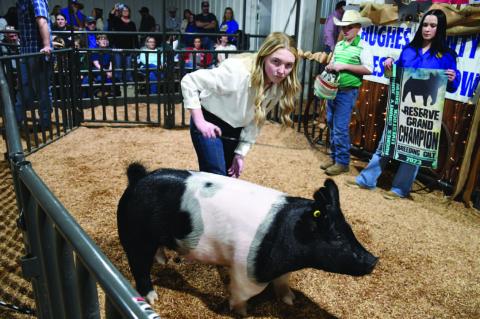 Hughes County Livestock Show