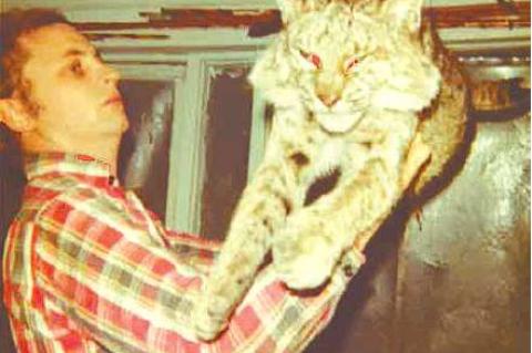 Mike with a bobcat in the early 1970’s.