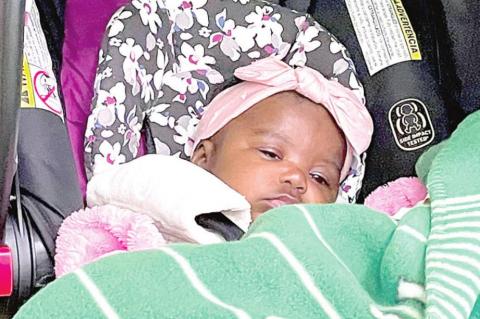 Labor Day Weekend in Clearview - the Golden Family Reunion